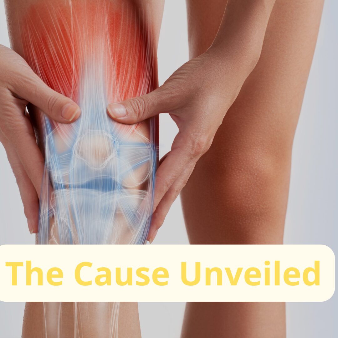 Knee Pain Knee Pain